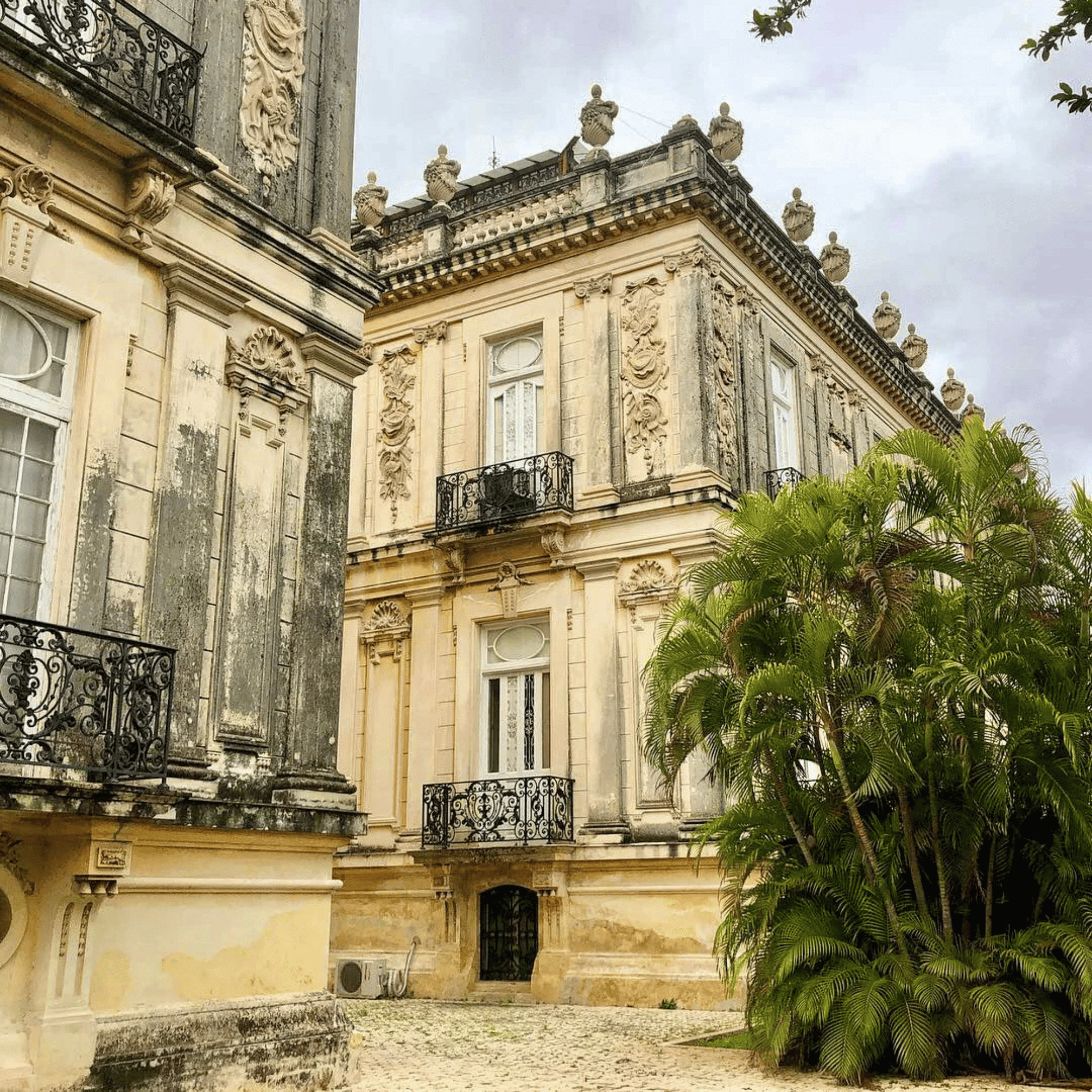 Alternate Image of Tropical EDP