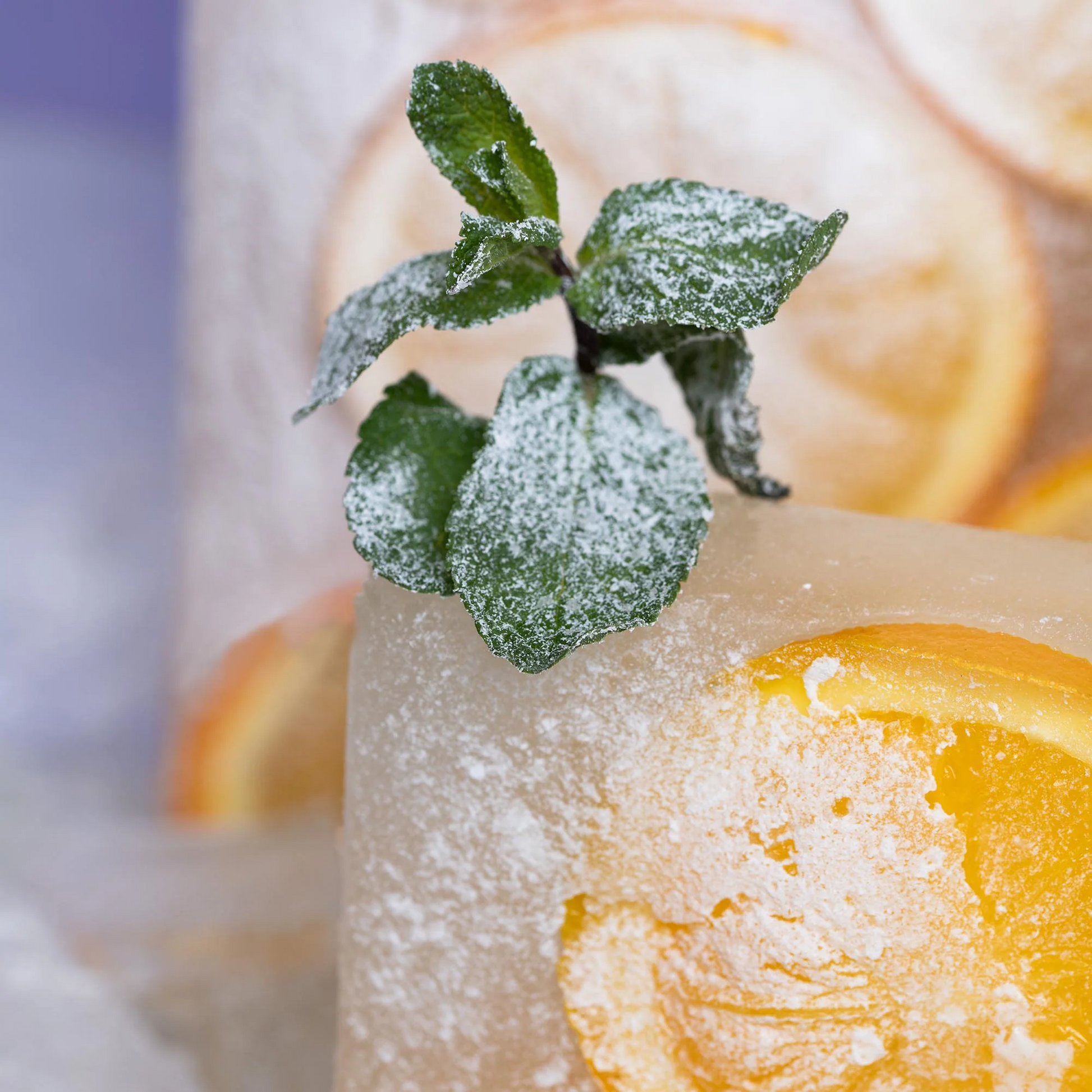 Alternate Image of ATTITUDE Peppermint & Sweet Orange Aluminum Bottle Shampoo (16 oz)