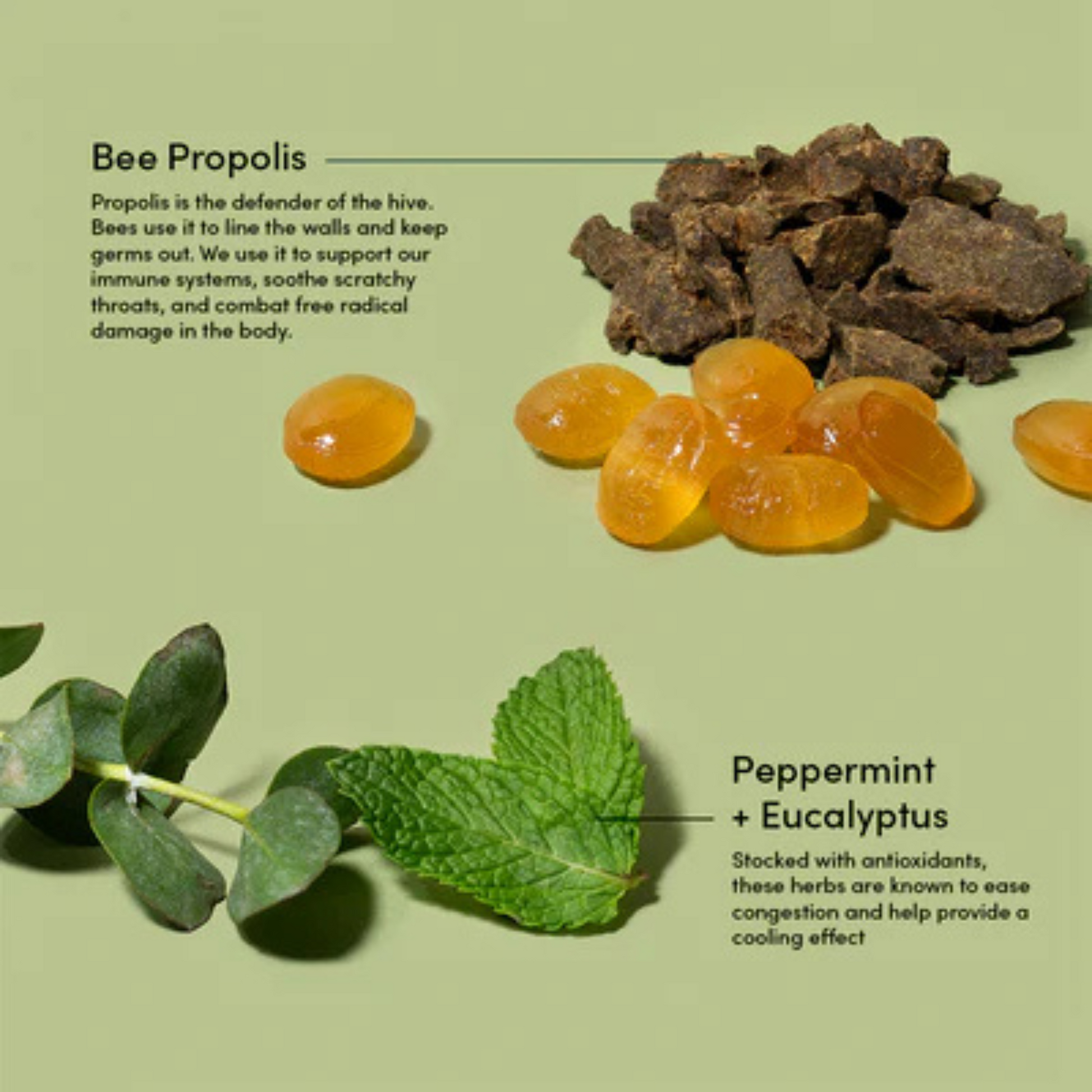 alternate image of beekeeper's naturals peppermint eucalyptus soothing lozenges