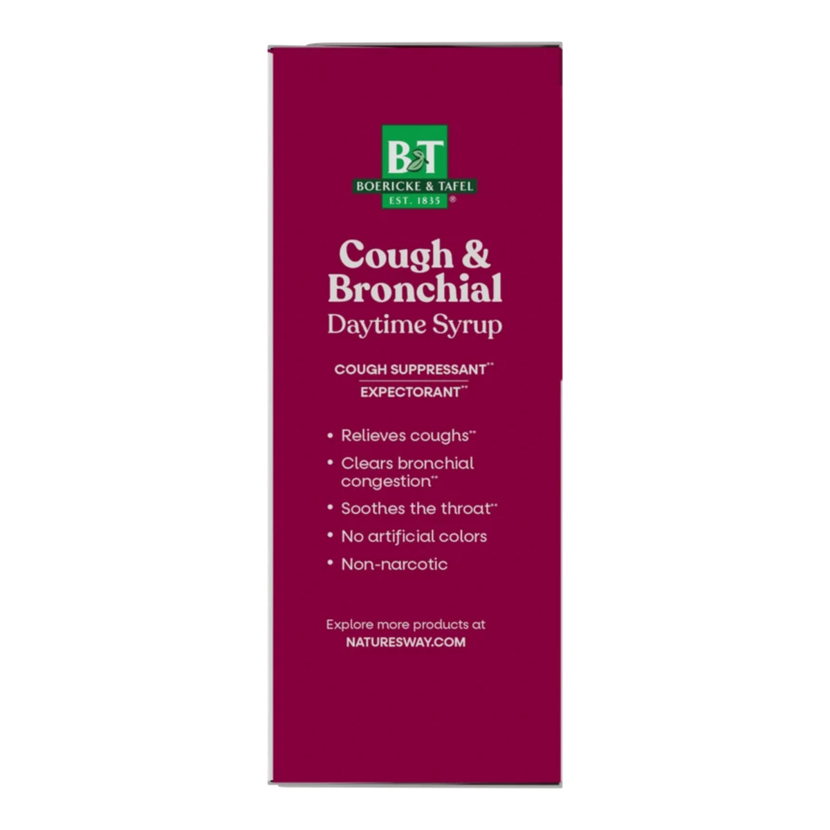 Alternate Image of Daytime Cough & Bronchial Syrup, red box with details