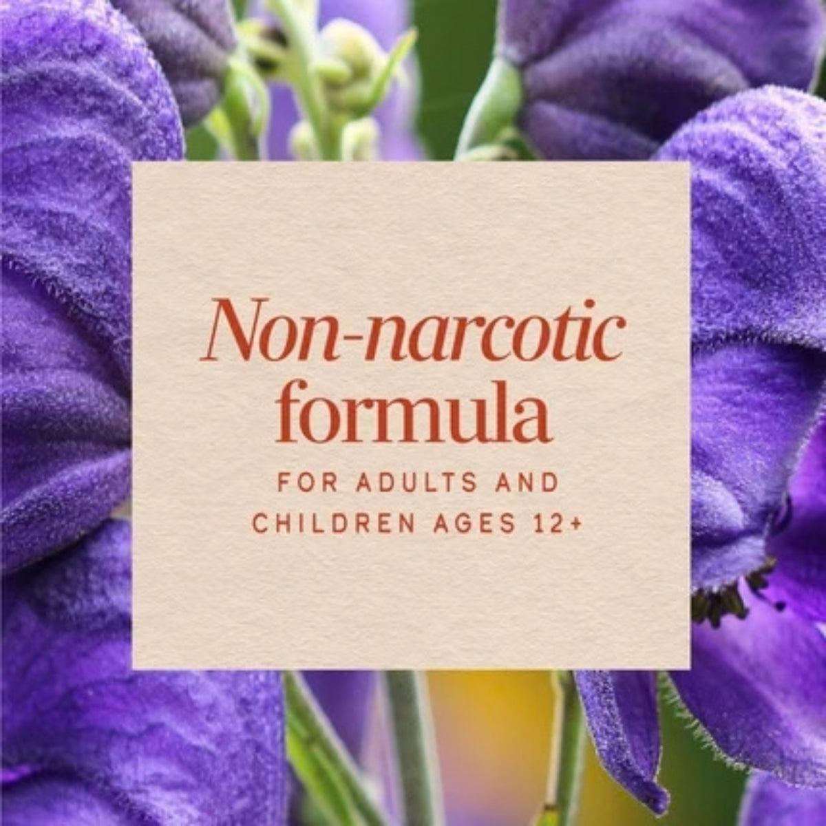 Alternate Image of Nighttime Cough & Bronchial Syrup, purple and white details