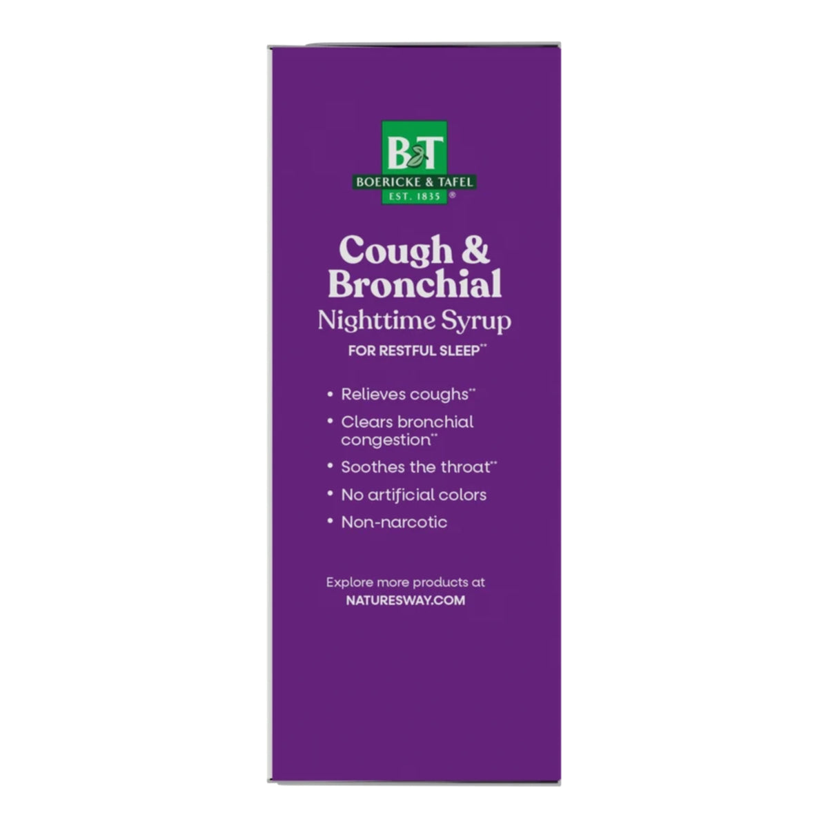 Alternate Image of Nighttime Cough & Bronchial Syrup, purple and white details