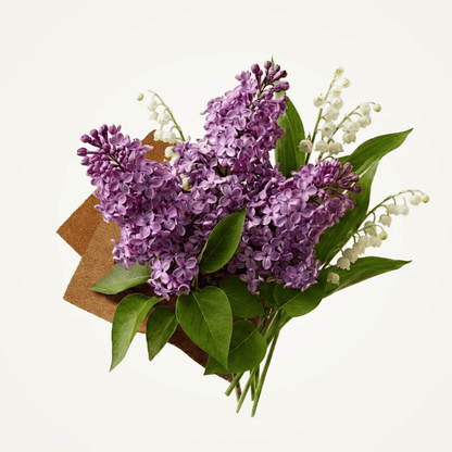 Alternate Image of Lilac EDT