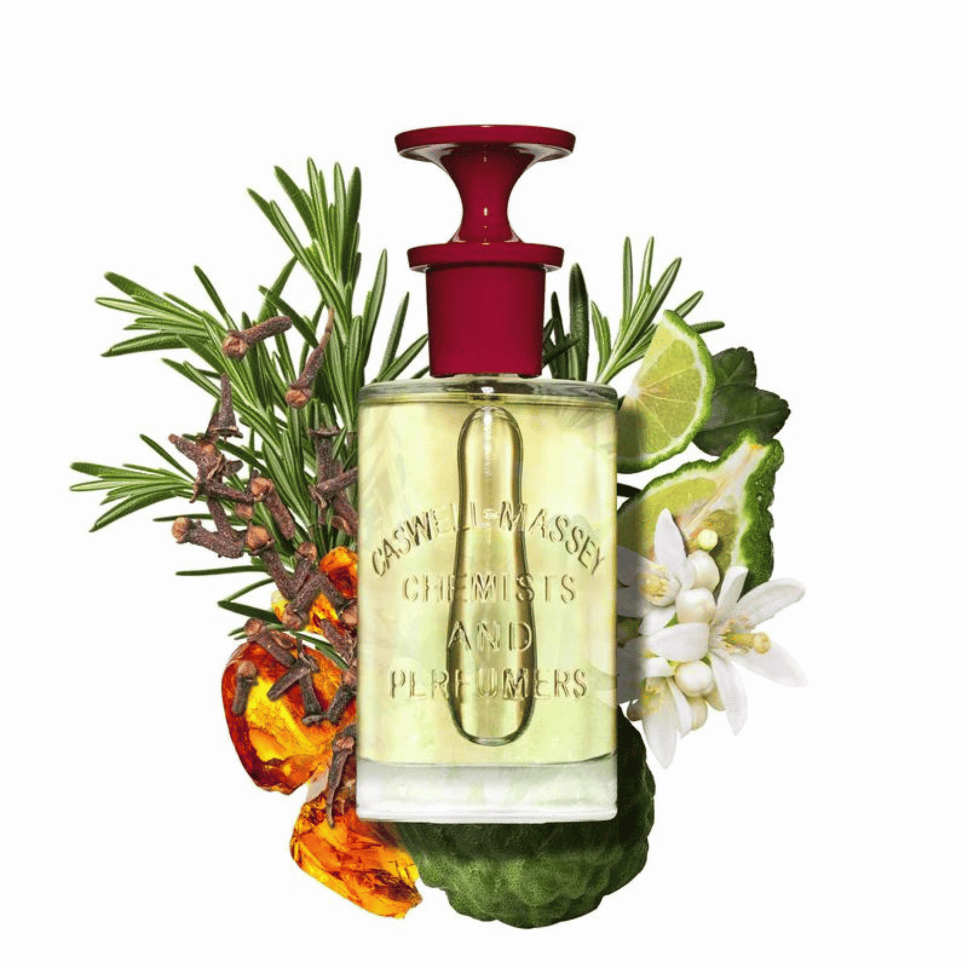 香水(男性用) CASWELL-MASSEY NUMBER SIX EDP 88ml CASWELL-MASSEY 香水(男性用) CASWELL-MASSEY NUMBER SIX EDP 88ml CASWELL-MASSEY