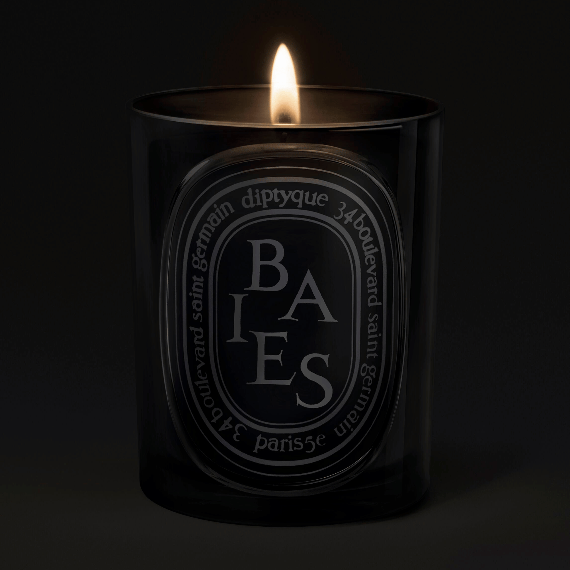 diptyque Paris Baies (Berries) Medium Candle (300 g) – Smallflower