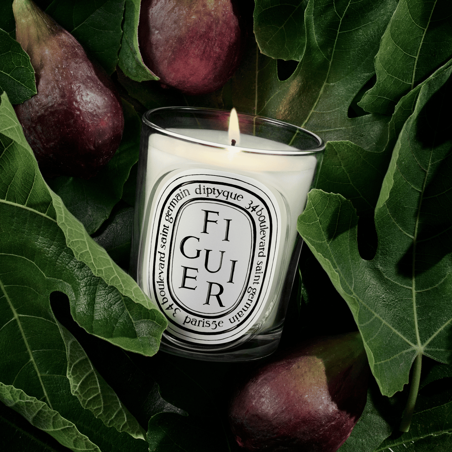 Alternate Image of Figuier (Fig Tree) Classic Candle, clear glass candle