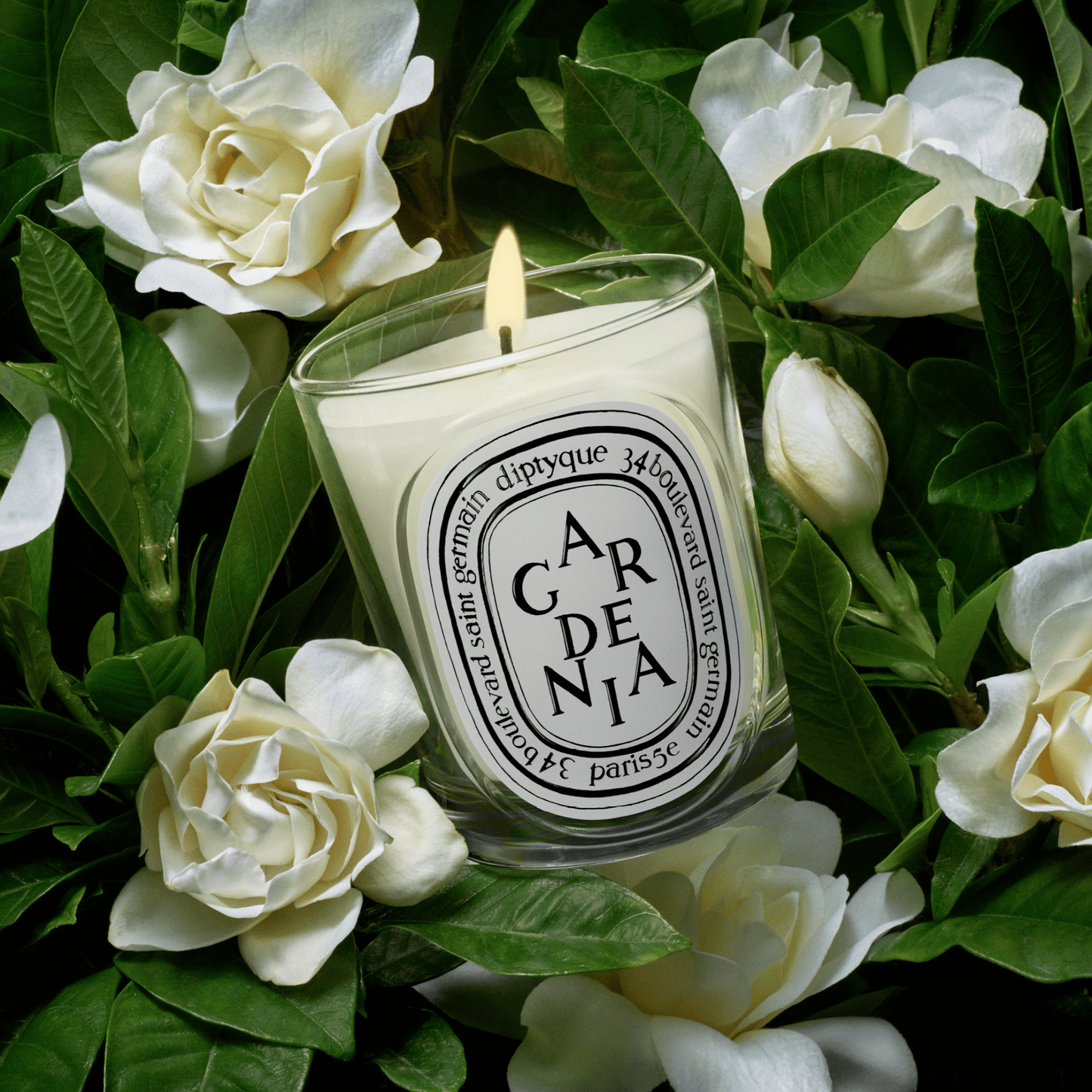Alternate Image of Gardenia Classic Candle, clear glass candle