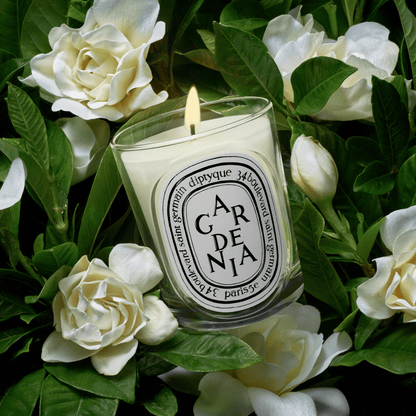 Alternate Image of Gardenia Classic Candle, clear glass candle