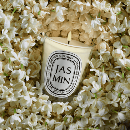 Alternate Image of Jasmin (Jasmine) Classic Candle, clear glass candle