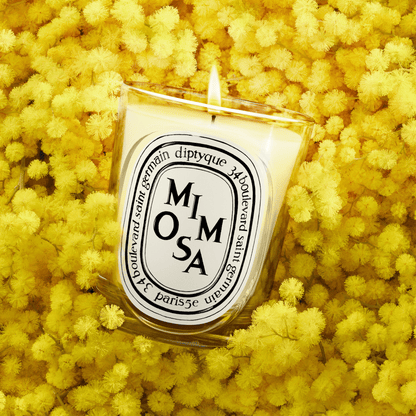 Alternate Image of Mimosa Classic Candle, clear glass candle