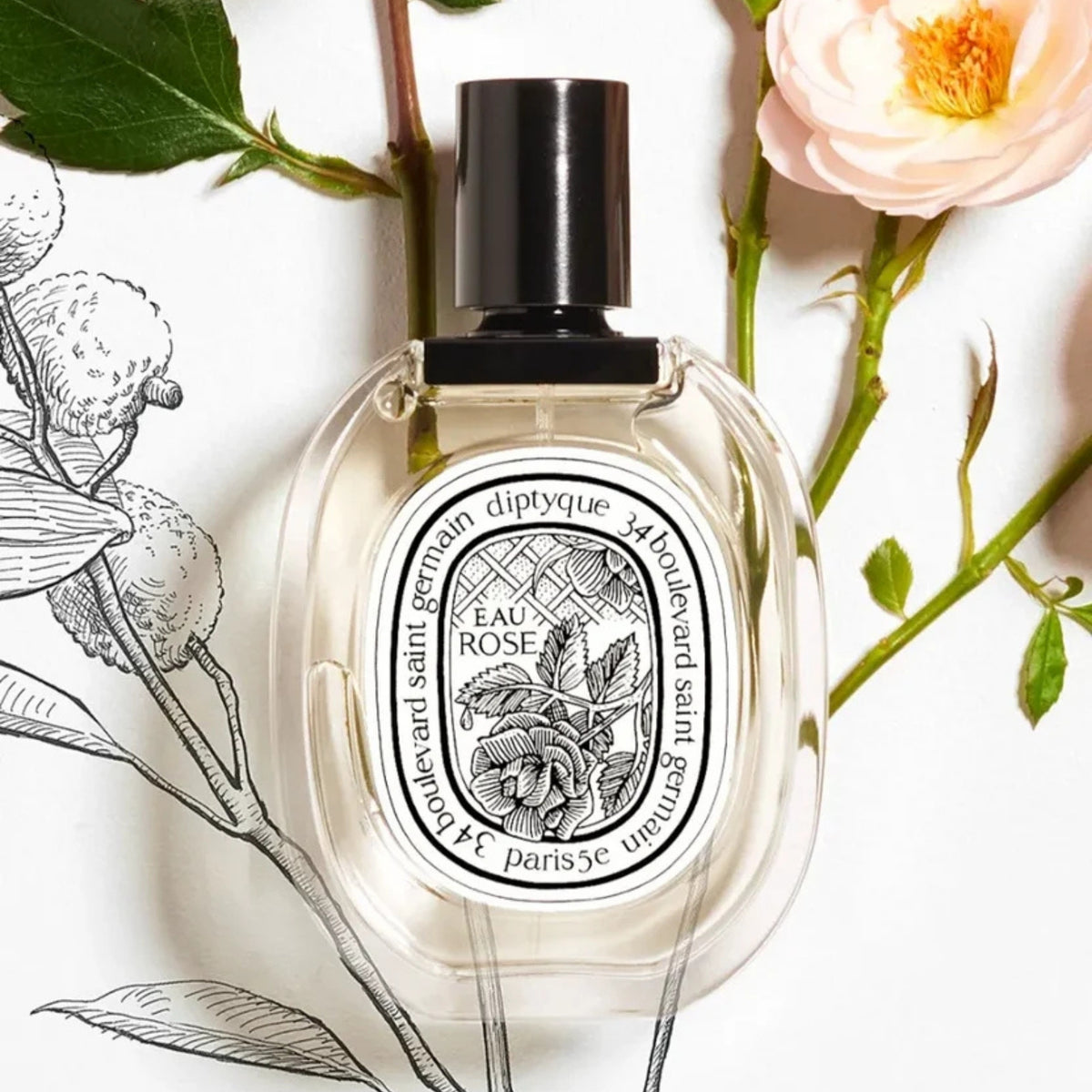 Alternate image of diptyque Paris Eau Rose Eau de Toilette (3.4 fl oz)