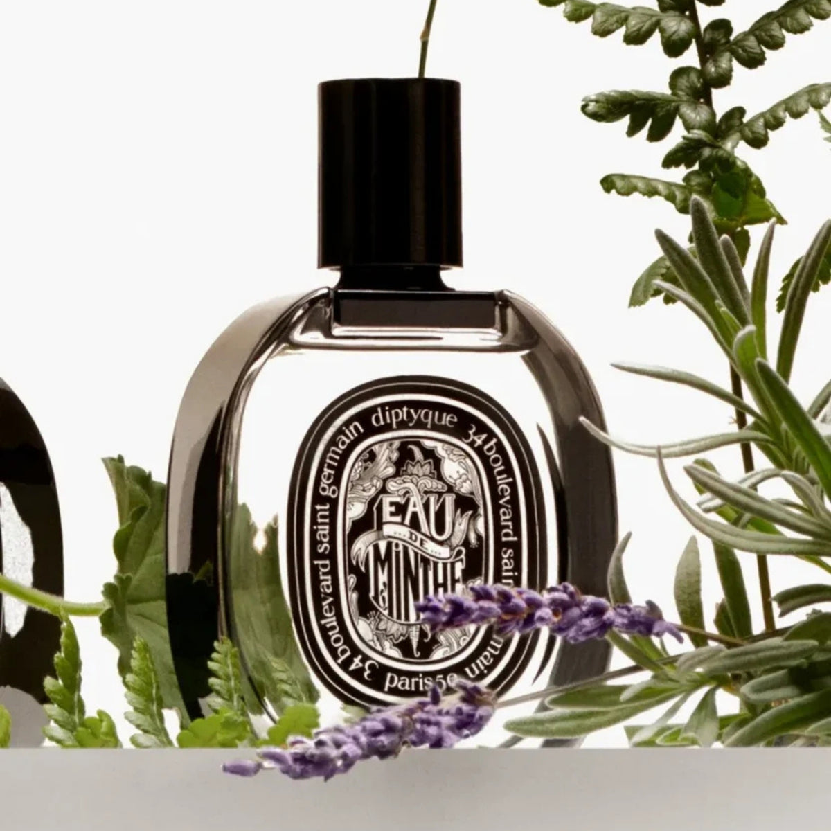 Alternate image of diptyque Paris Eau de Minthe Eau De Parfum