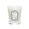 Front view of diptyque Paris Figuier Small Candle showcasing pale green wax and oval FIGUIER label on white background