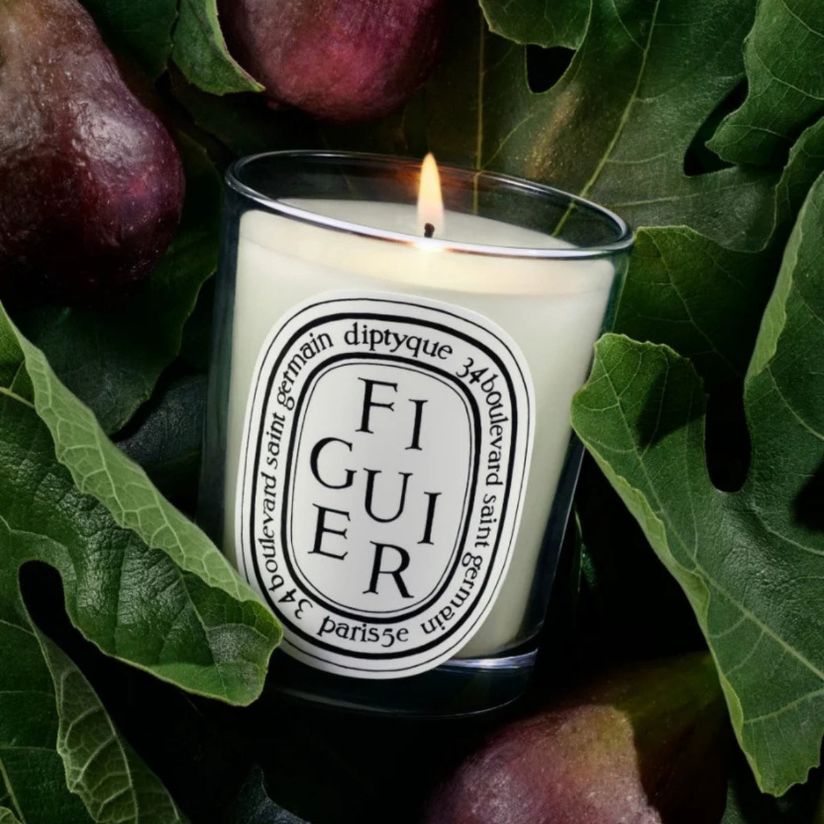 Alternate image of diptyque Paris Figuier (Fig Tree) Small Candle