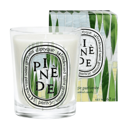 Primary image of Diptyque Paris Limited Edition Pinede Candle 6.7oz