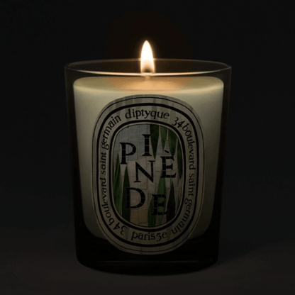 Alternate image of Diptyque Paris Limited Edition Pinede Candle 6.7oz