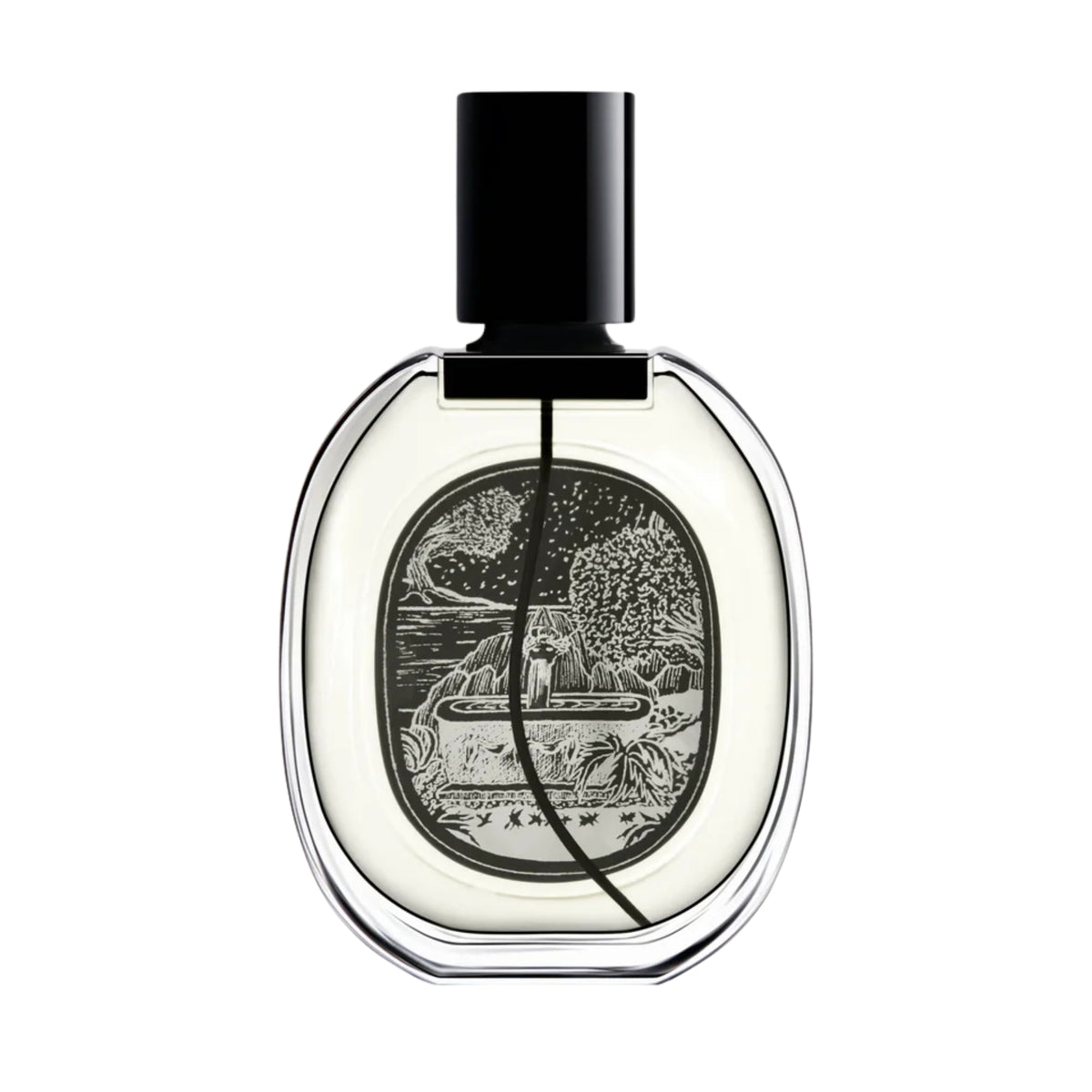 Front view of diptyque Paris Philosykos Eau de Parfum bottle showcasing its black cap and botanical label on a white background