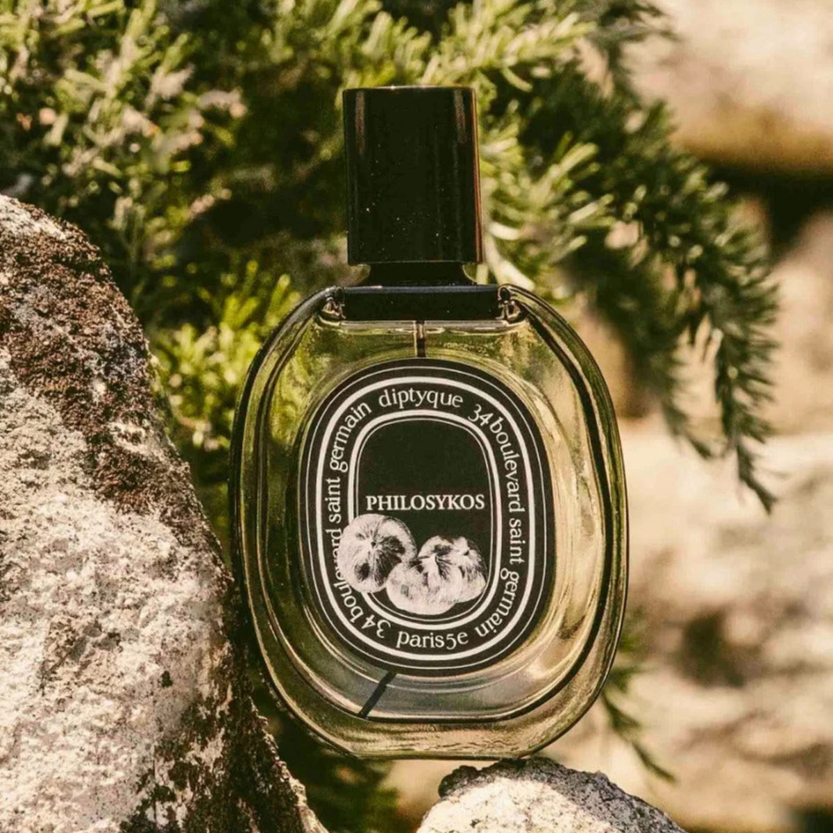 Alternate image of diptyque Paris Philosykos Eau de Parfum