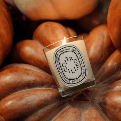 Alternate Image of Citrouille (Pumpkin) Candle
