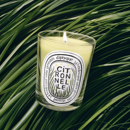 Alternate Image of Limited Edition Citronnelle Candle