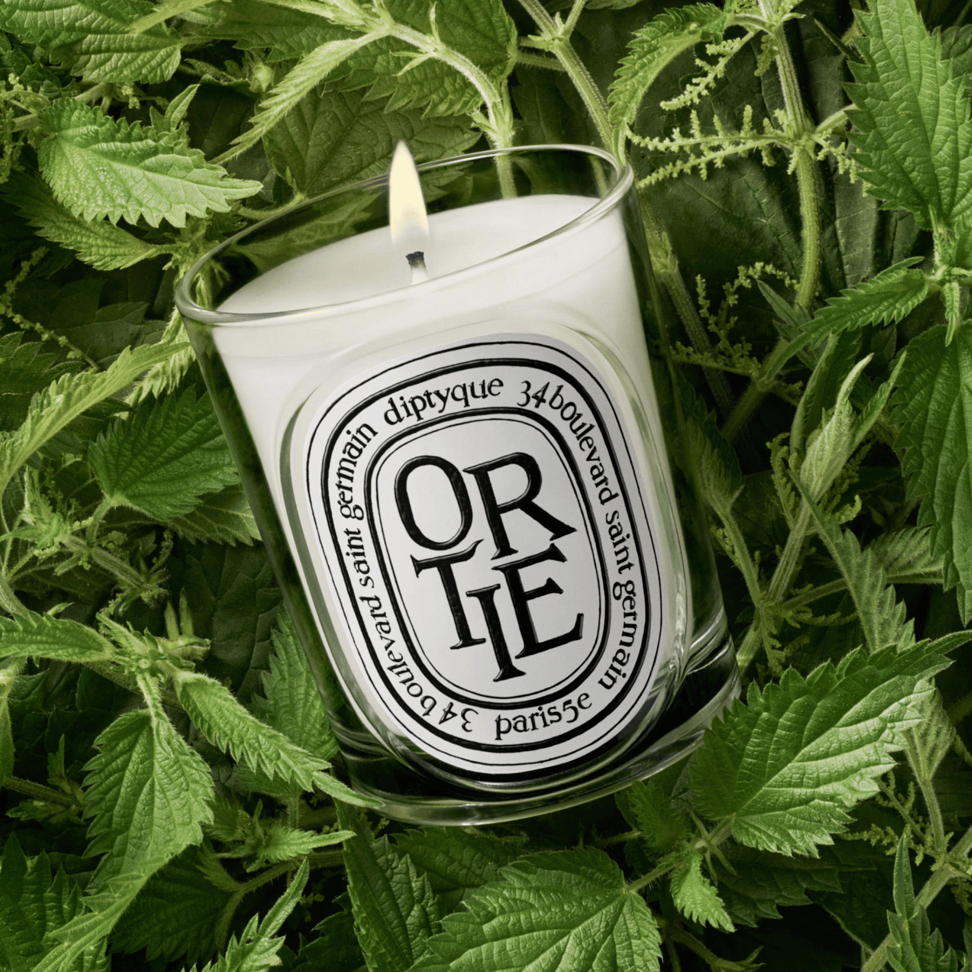 Alternate Image of Ortie Candle, clear glass vessel with black and white oval label