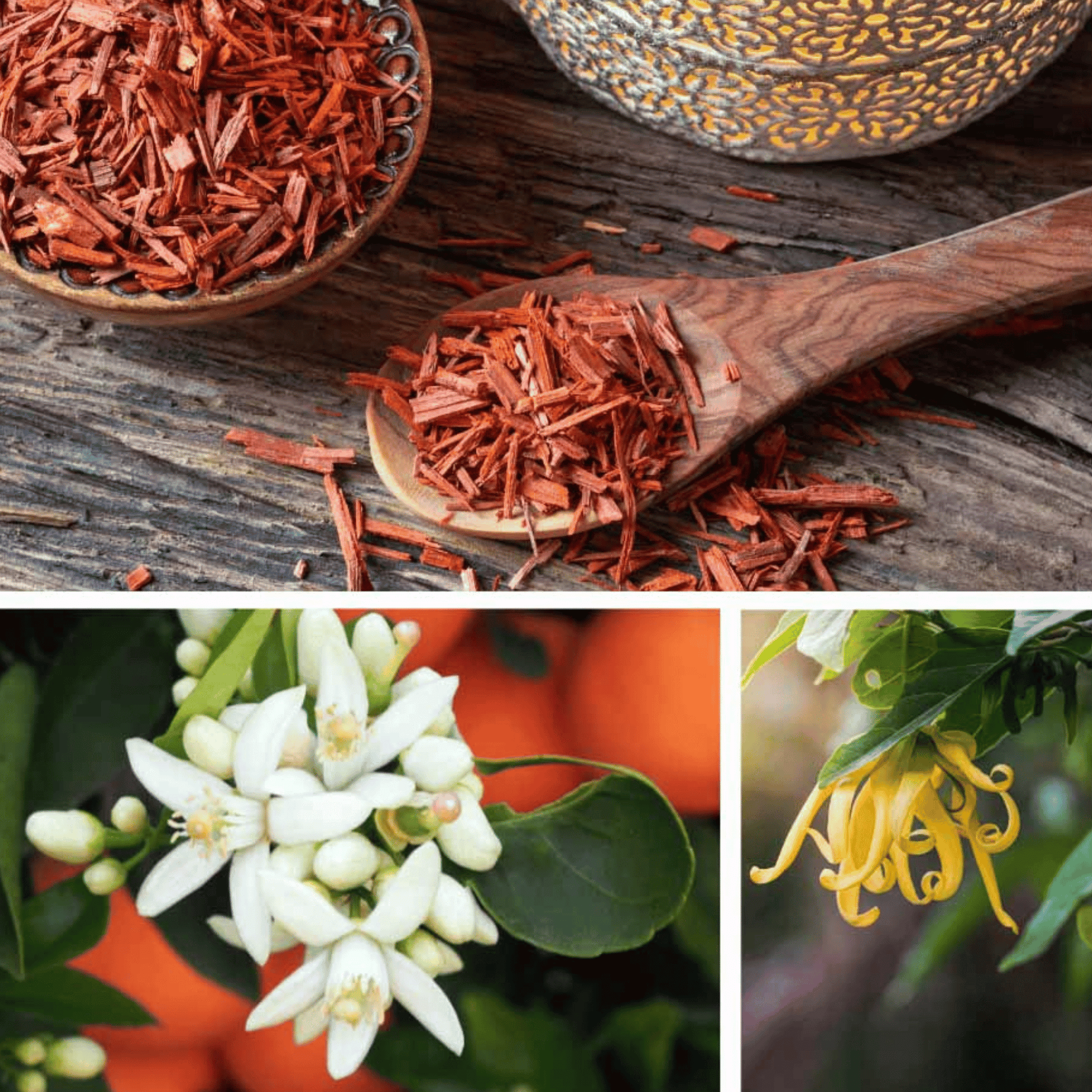 Alternate Image of Fairytale Garden Bath Elixir