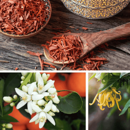 Alternate Image of Fairytale Garden Bath Elixir