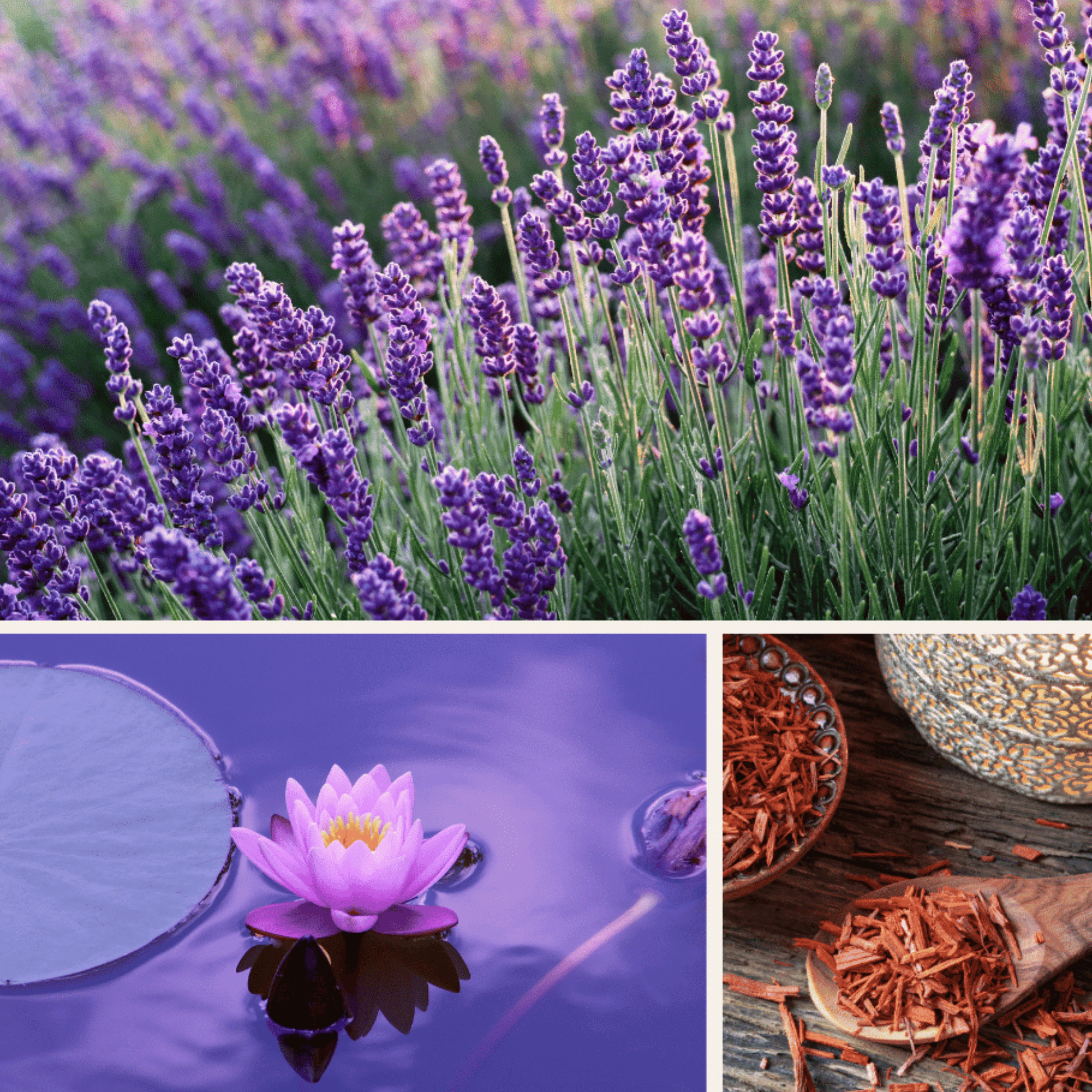 Alternate Image of Midnight Beauty Bath Salts