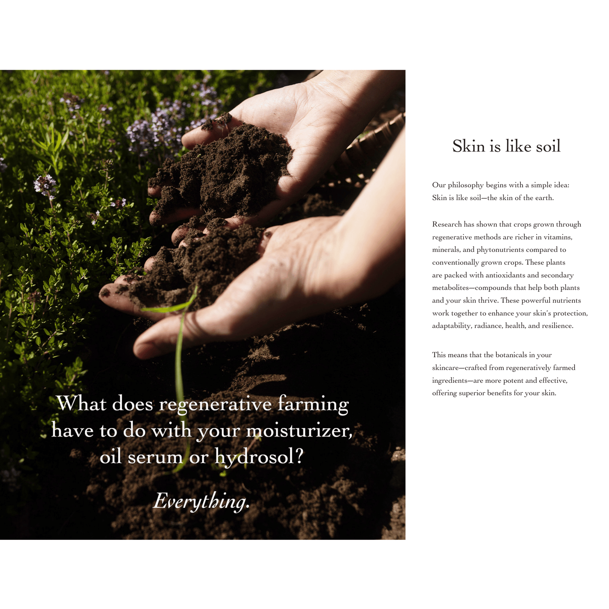 Alternate Image of evanhealy product, regernatrive farming information