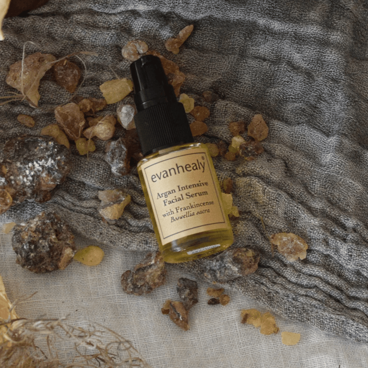Alternate image of evanhealy Argan Intensive Serum