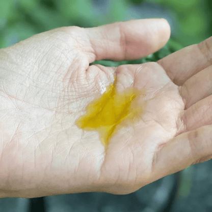 Alternate image of evanhealy Argan Intensive Serum
