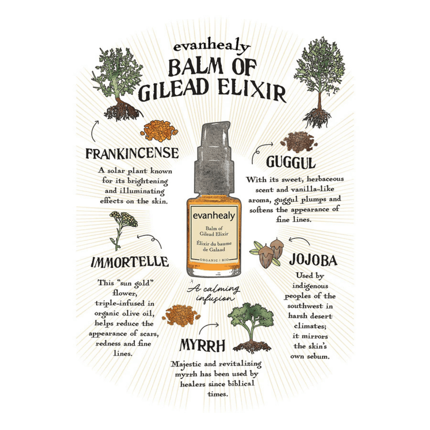 Alternate Image of Balm of Gilead Elixir