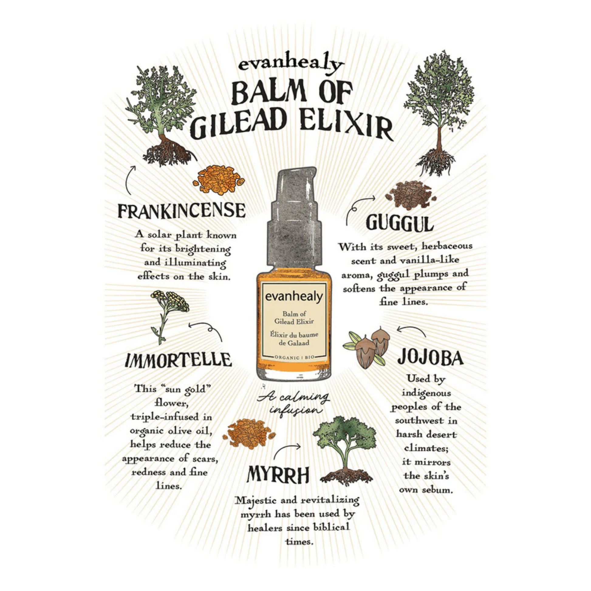 Alternate Image of Balm of Gilead Elixir