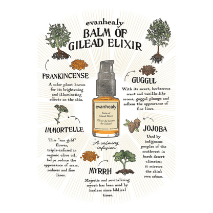 Alternate Image of Balm of Gilead Elixir