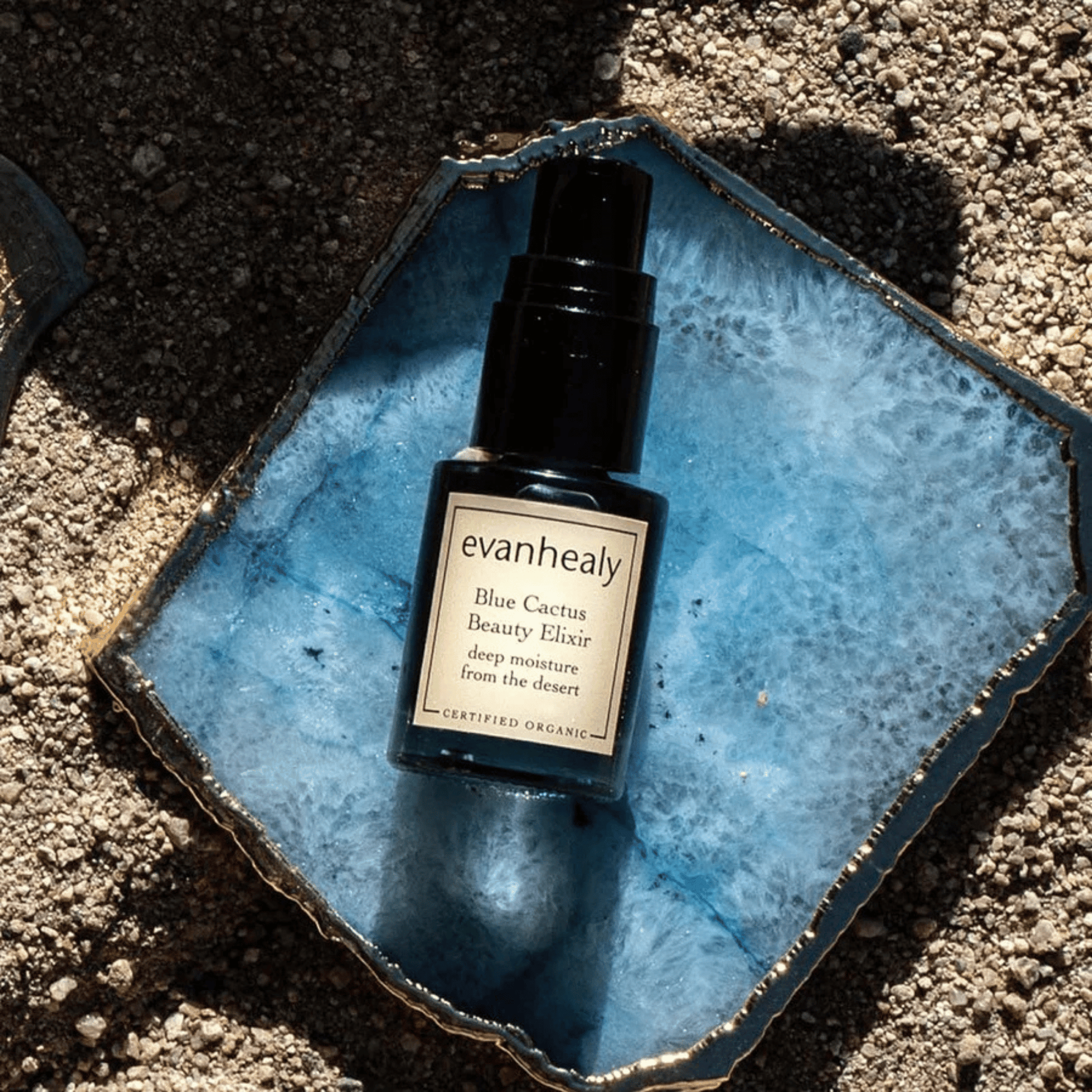 Alternate image of evanhealy Blue Cactus Beauty Elixir
