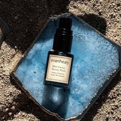 Alternate image of evanhealy Blue Cactus Beauty Elixir