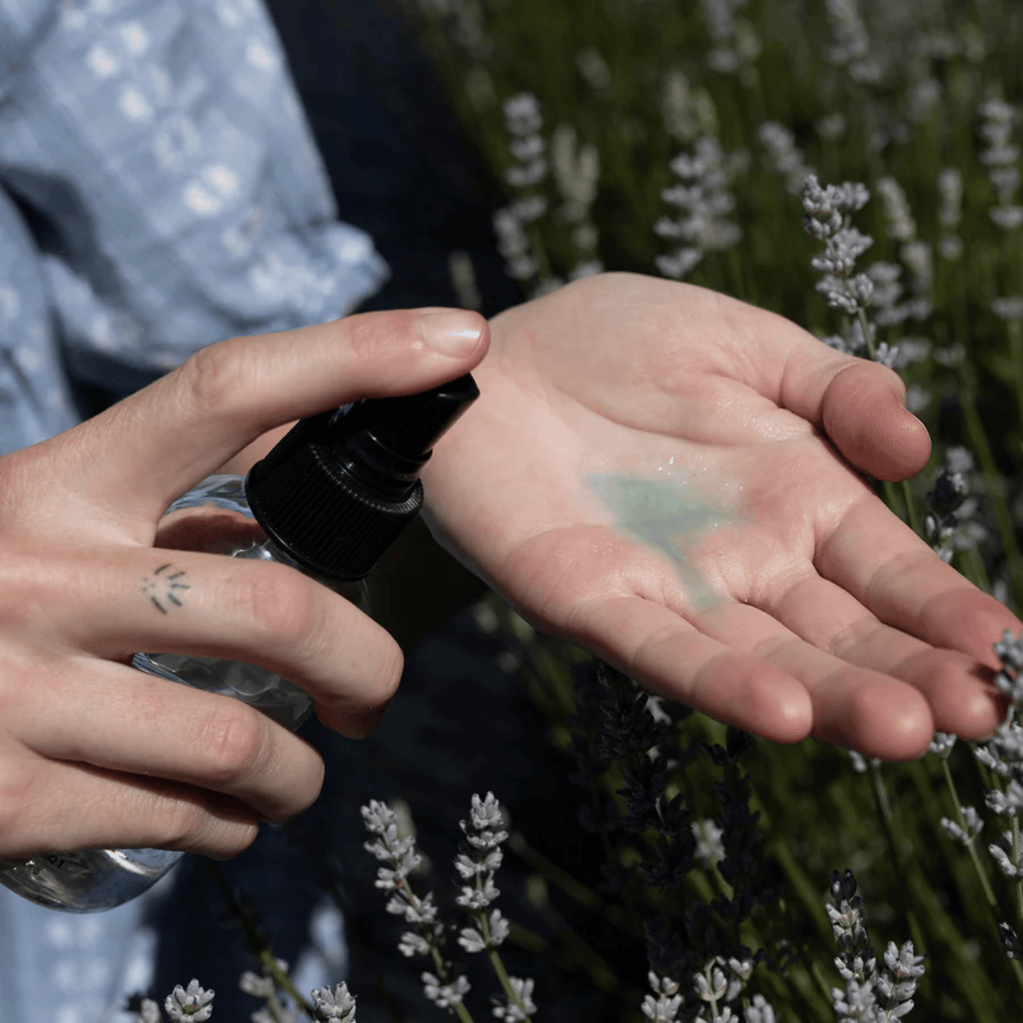 Alternate image of evanhealy Blue Cactus Beauty Elixir