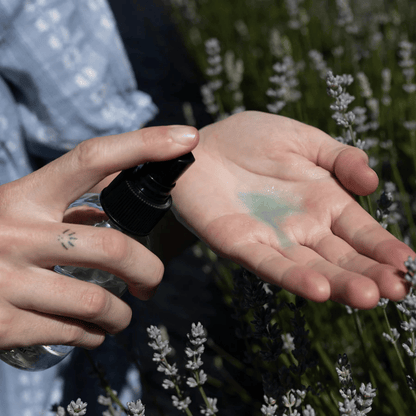 Alternate image of evanhealy Blue Cactus Beauty Elixir