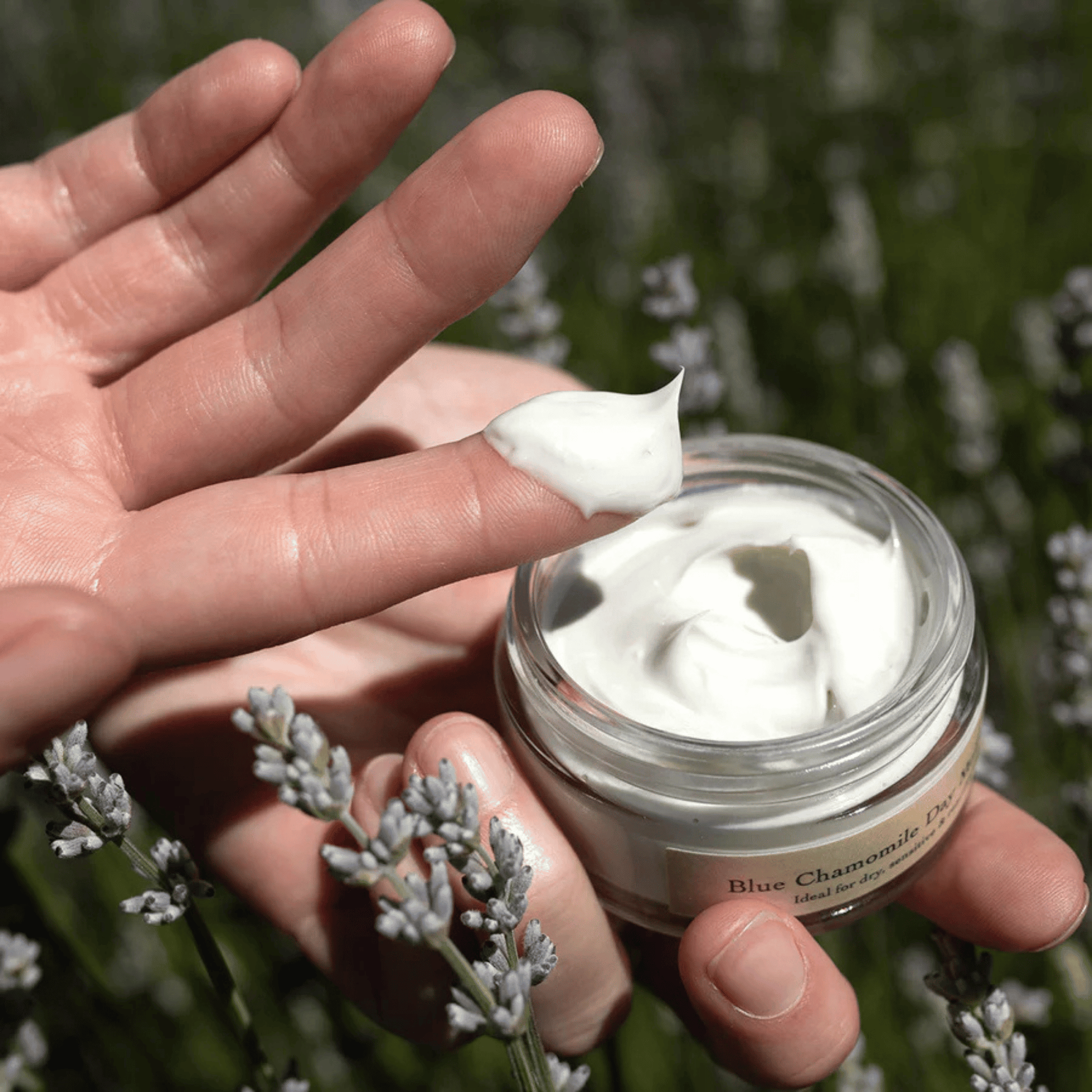 Alternate image of evanhealy Blue Chamomile Moisturizer