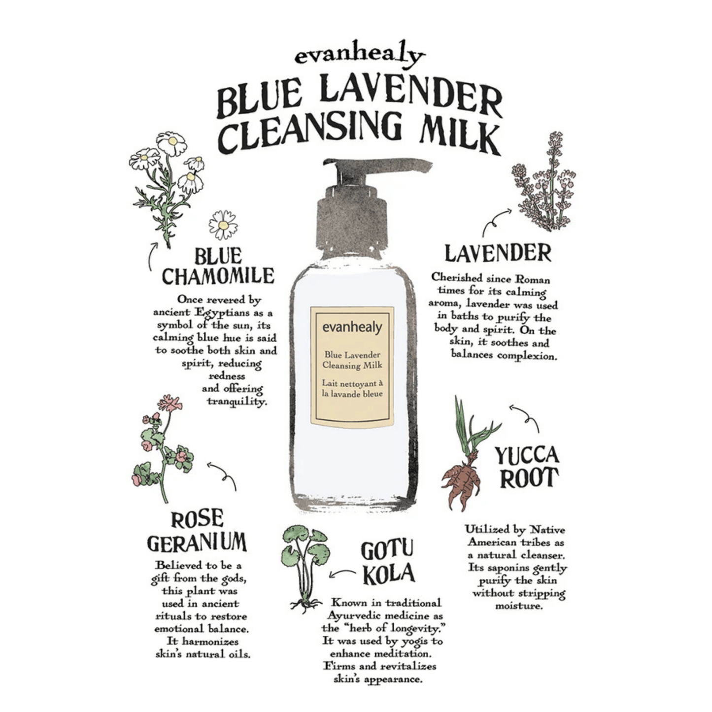 Alternate image of evanhealy Blue Lavender Cleansing Milk
