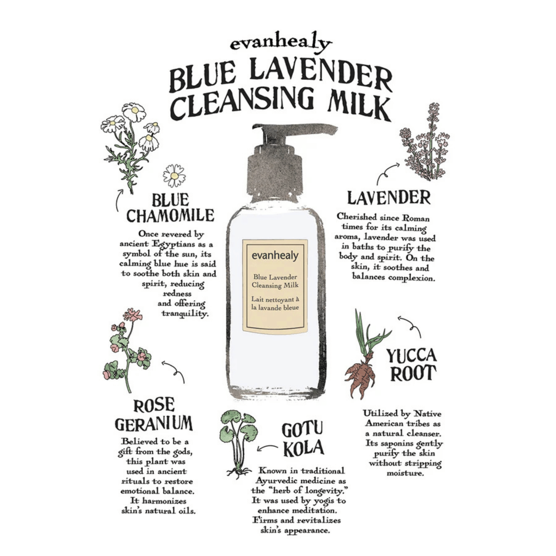 Alternate image of evanhealy Blue Lavender Cleansing Milk