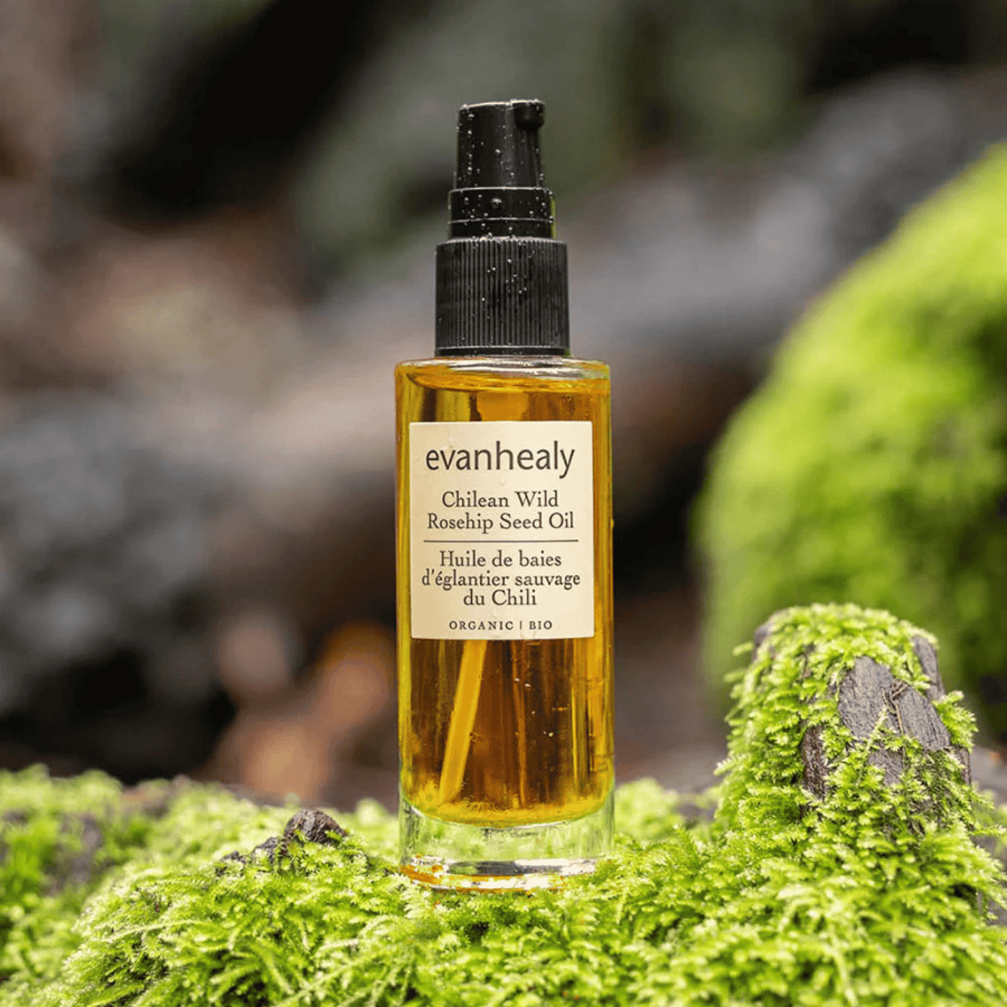 Alternate image of evanhealy Chilean Wild Rosehip Seed Oil