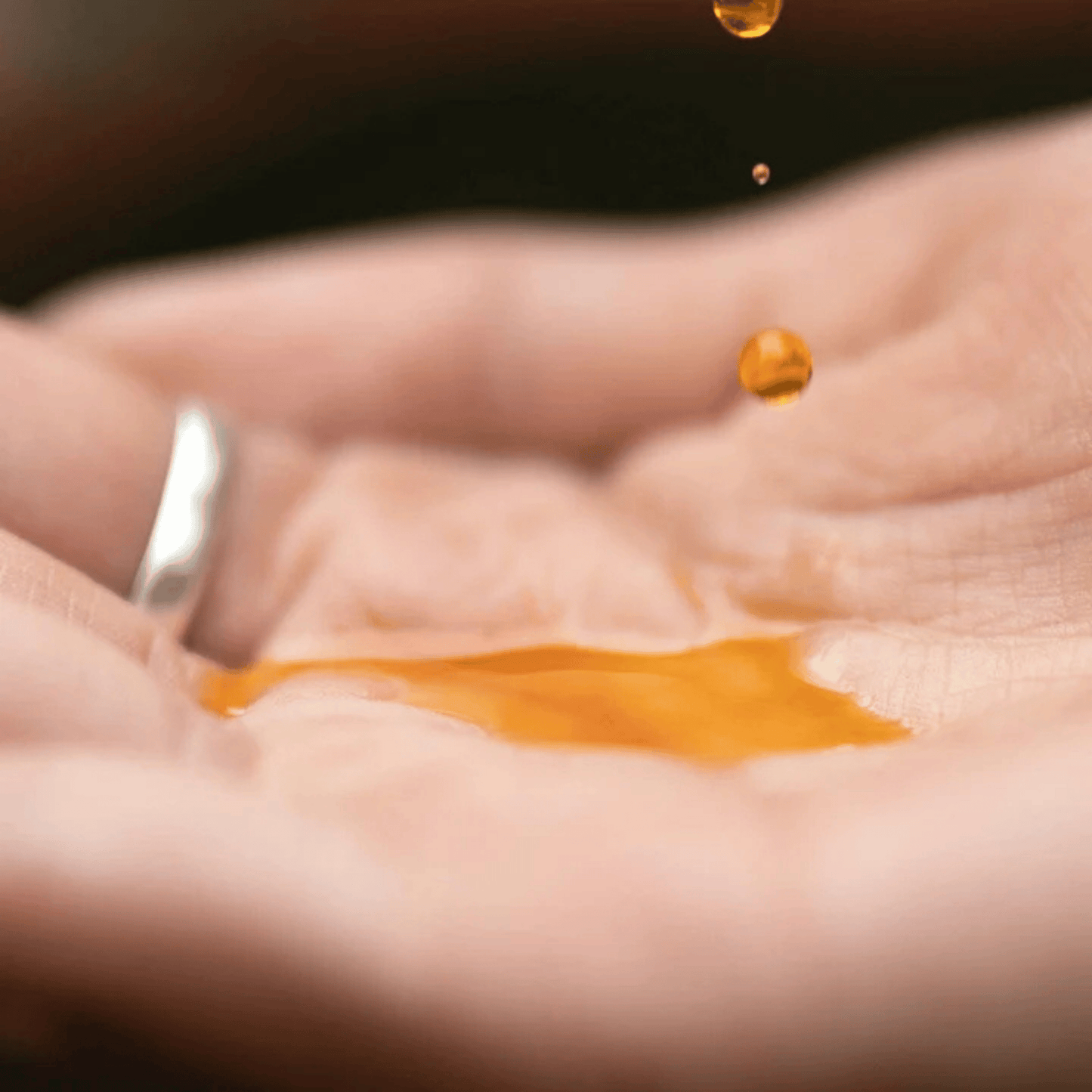 Alternate image of evanhealy Chilean Wild Rosehip Seed Oil