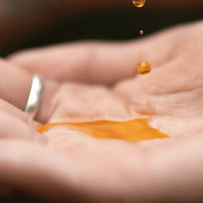 Alternate image of evanhealy Chilean Wild Rosehip Seed Oil
