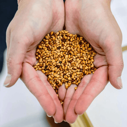 Alternate image of evanhealy Chilean Wild Rosehip Seed Oil