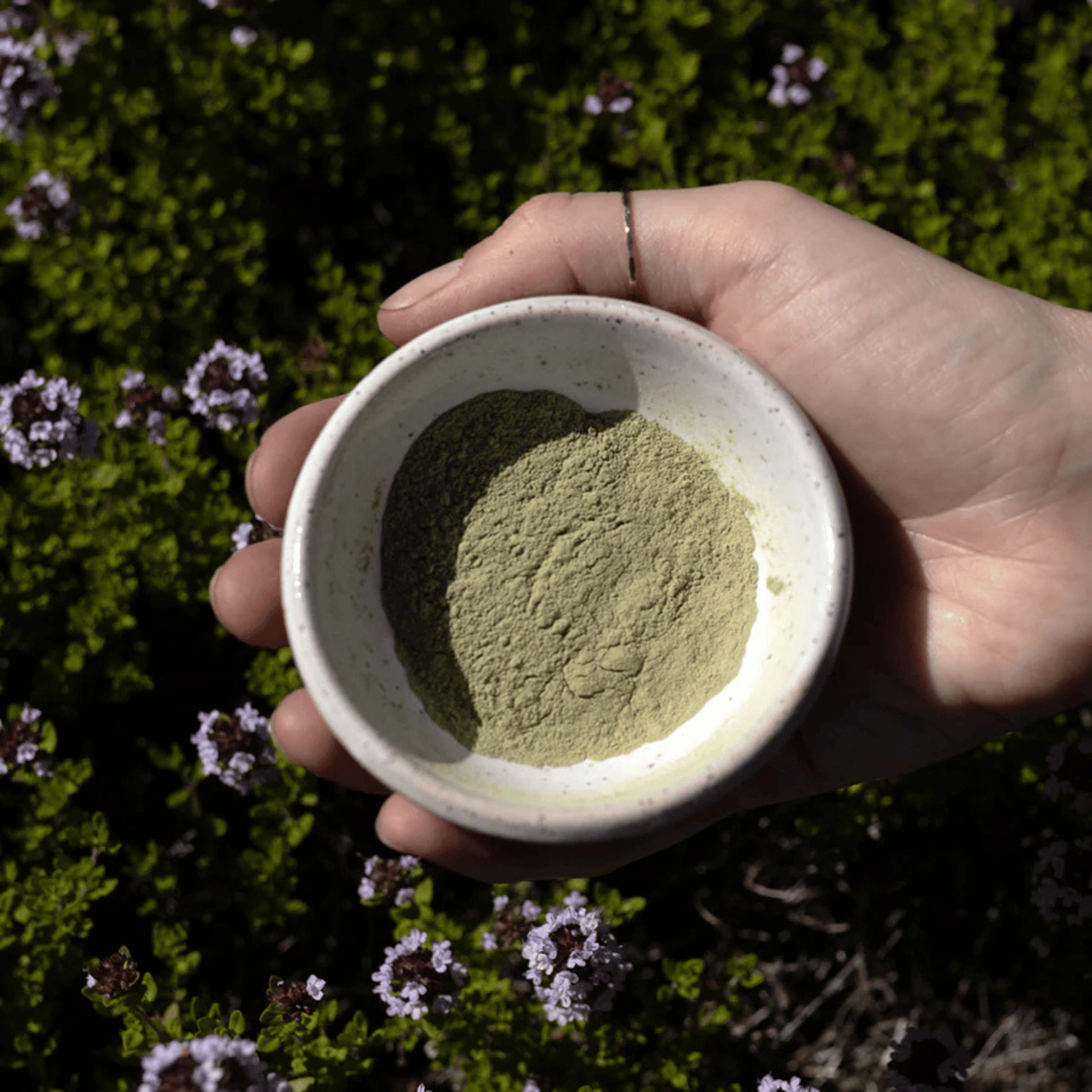 Alternate image of evanhealy Green Tea Clay
