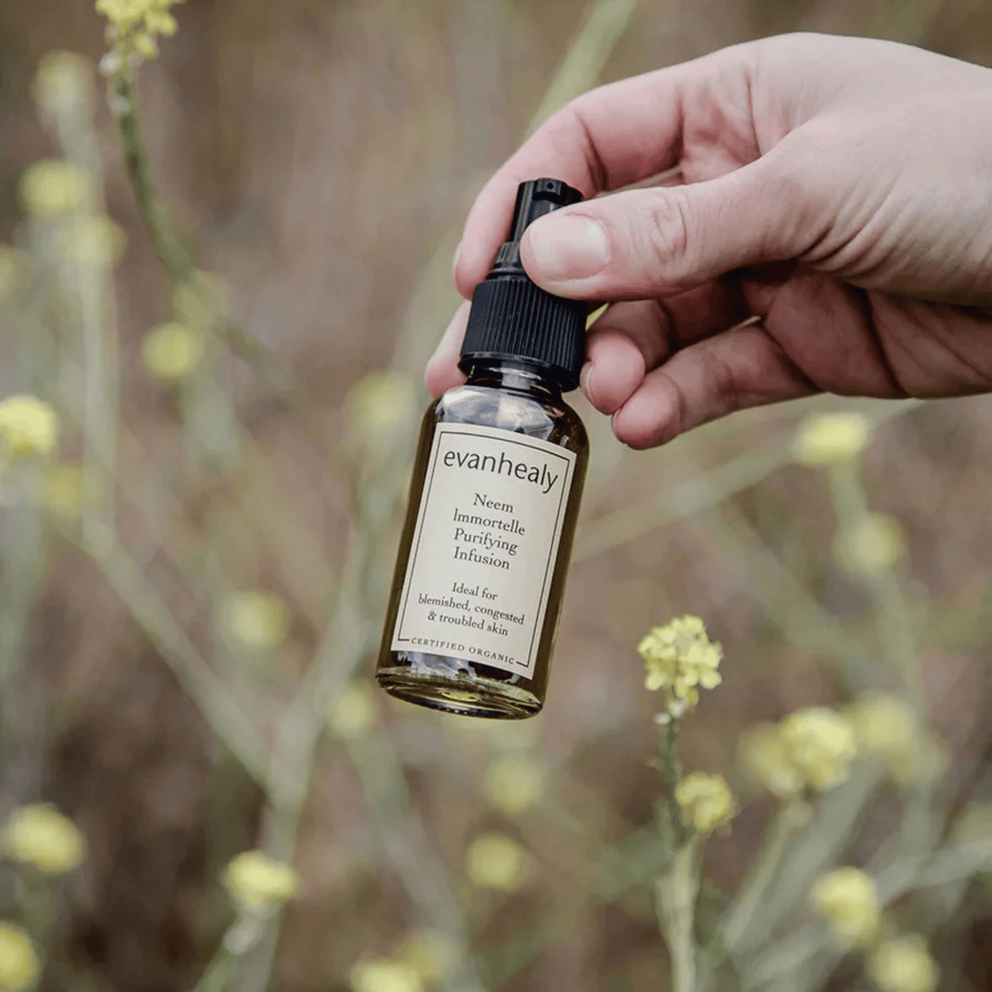 Alternate image of evanhealy Neem Immortelle Purifying Infusion