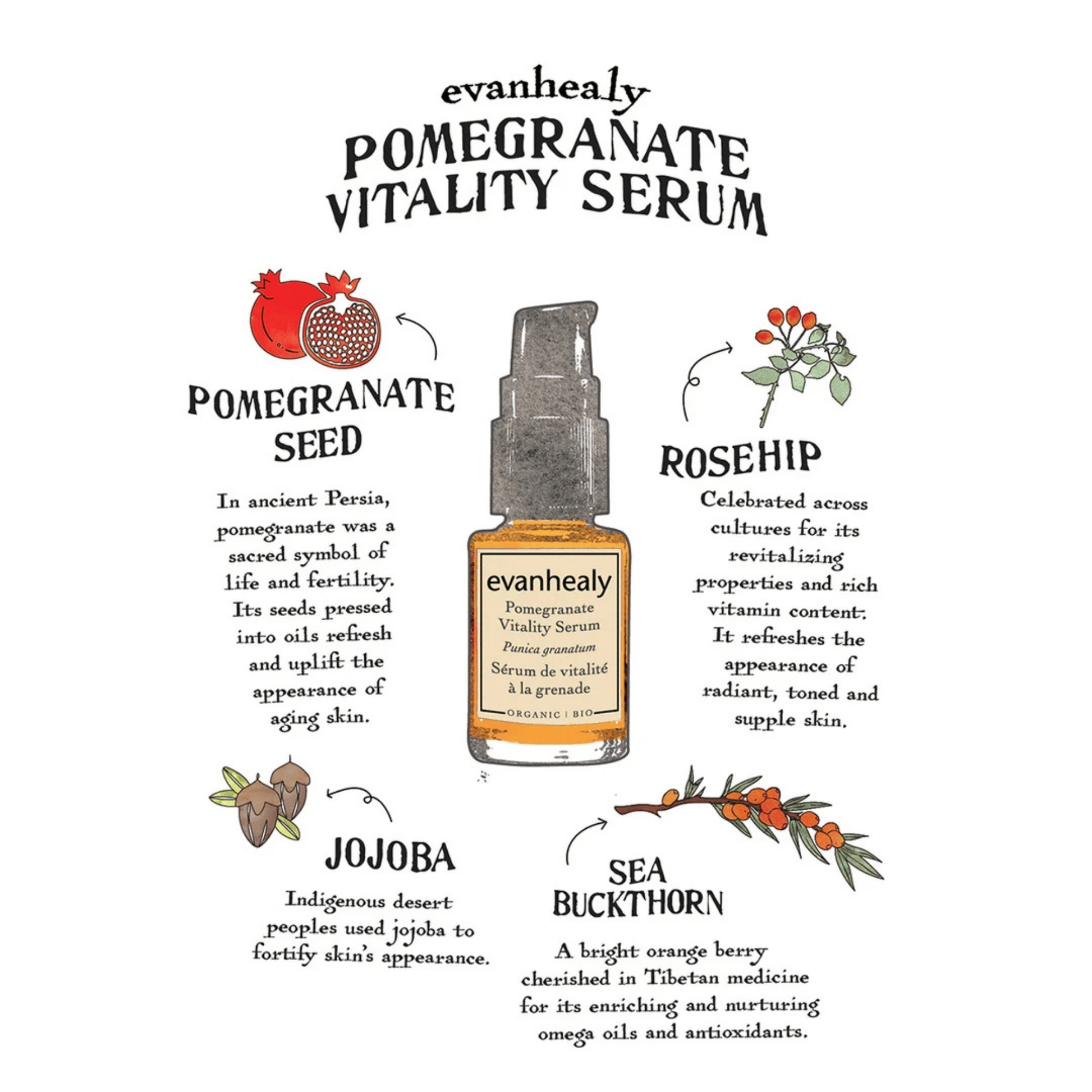 Alternate image of evanhealy Pomegranate Vitality Serum