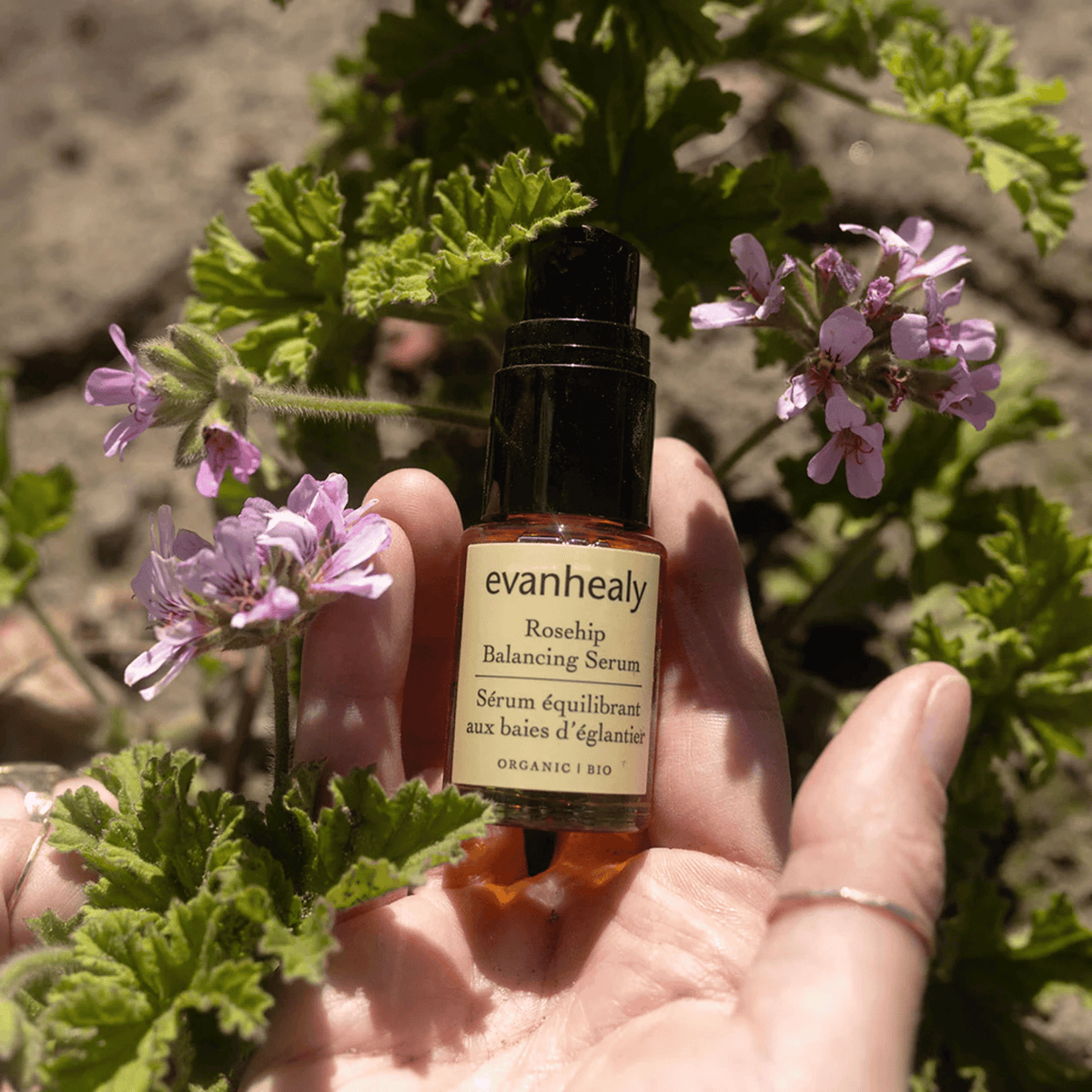 Alternate Image of Rosehip Balancing Serum