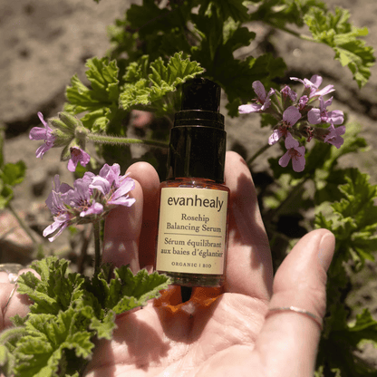 Alternate Image of Rosehip Balancing Serum
